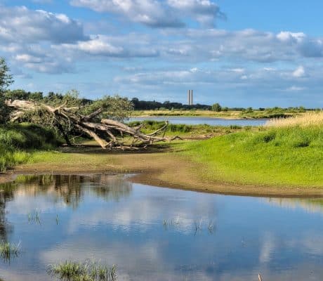 Grondwaterstanden_zakken